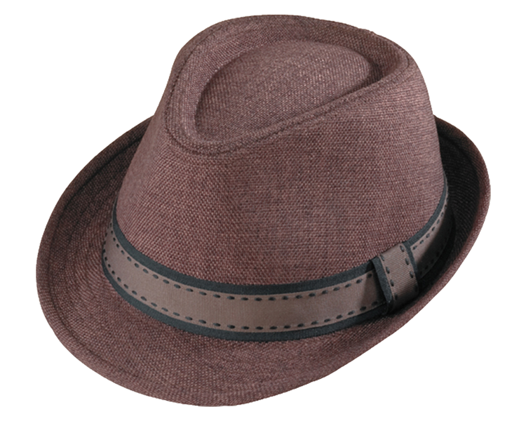 Brown Henschel Fedora Hat