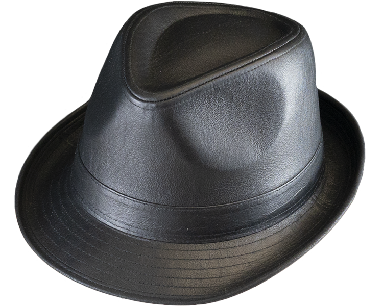 Henschel Leather Fedora Hat