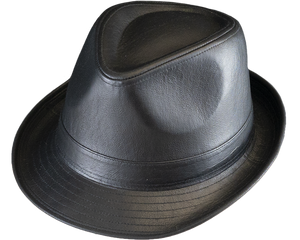 Henschel Leather Fedora Hat