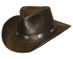 Henschel Premium Leather Cowboy Hat