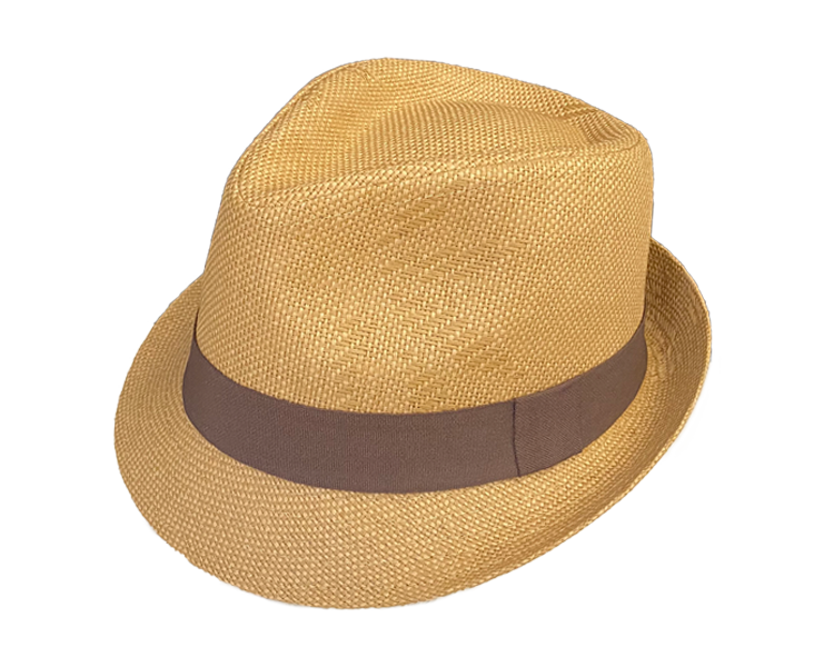 Stylish Lightweight Fedora Sun Hat