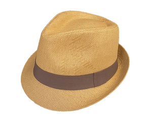 Stylish Lightweight Fedora Sun Hat