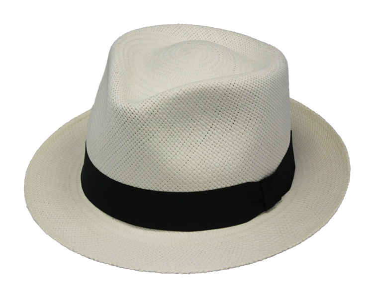 Henschel Panama Trilby Hat