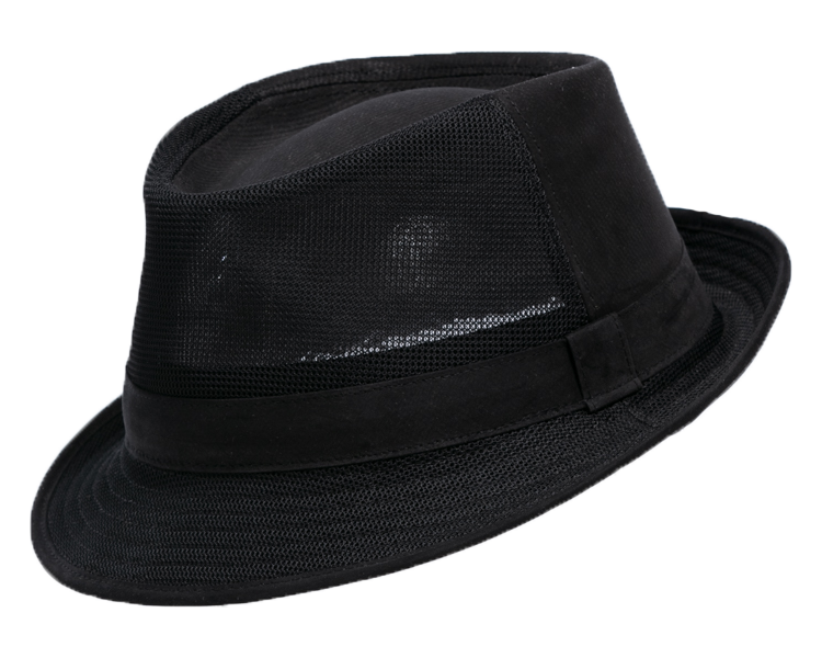Black Lightweight Fedora