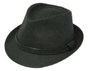 Henschel Black Fedora Hat
