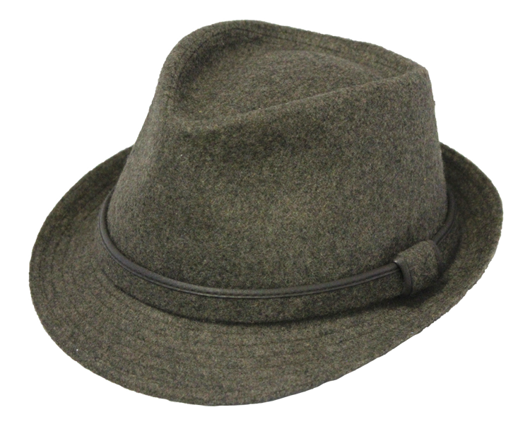 Warm Fedora Hat