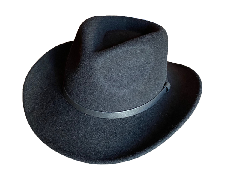 Best Cowboy Felt Hat