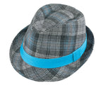 Winter Fedora